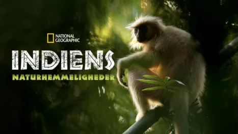 thumbnail - Indiens naturhemmeligheder