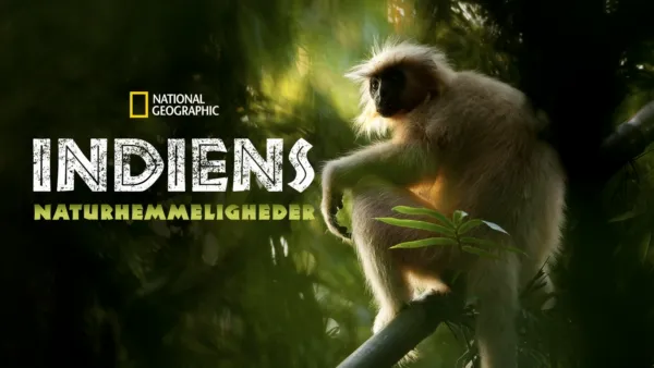 thumbnail - Indiens naturhemmeligheder