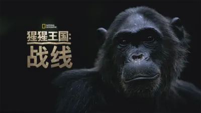 猩猩王国：战线