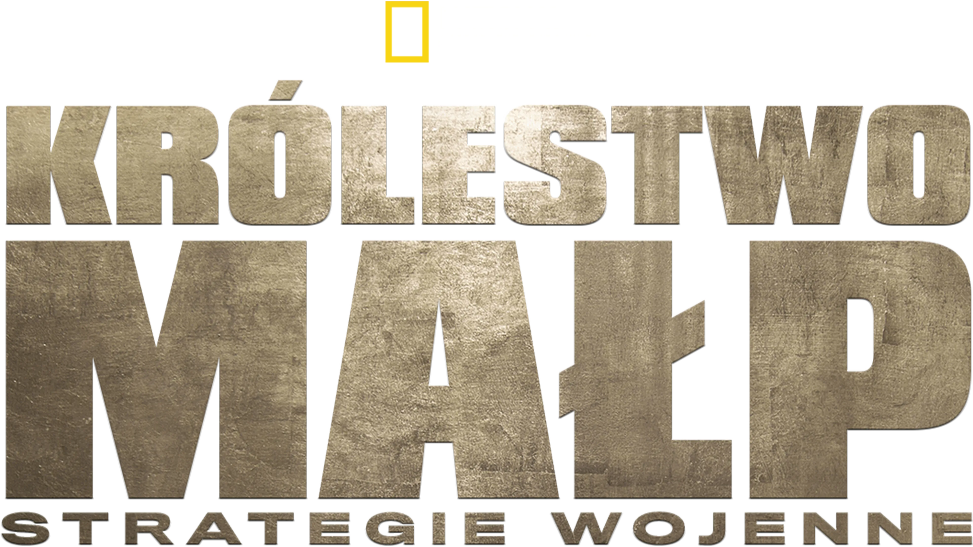 Królestwo małp: strategie wojenne