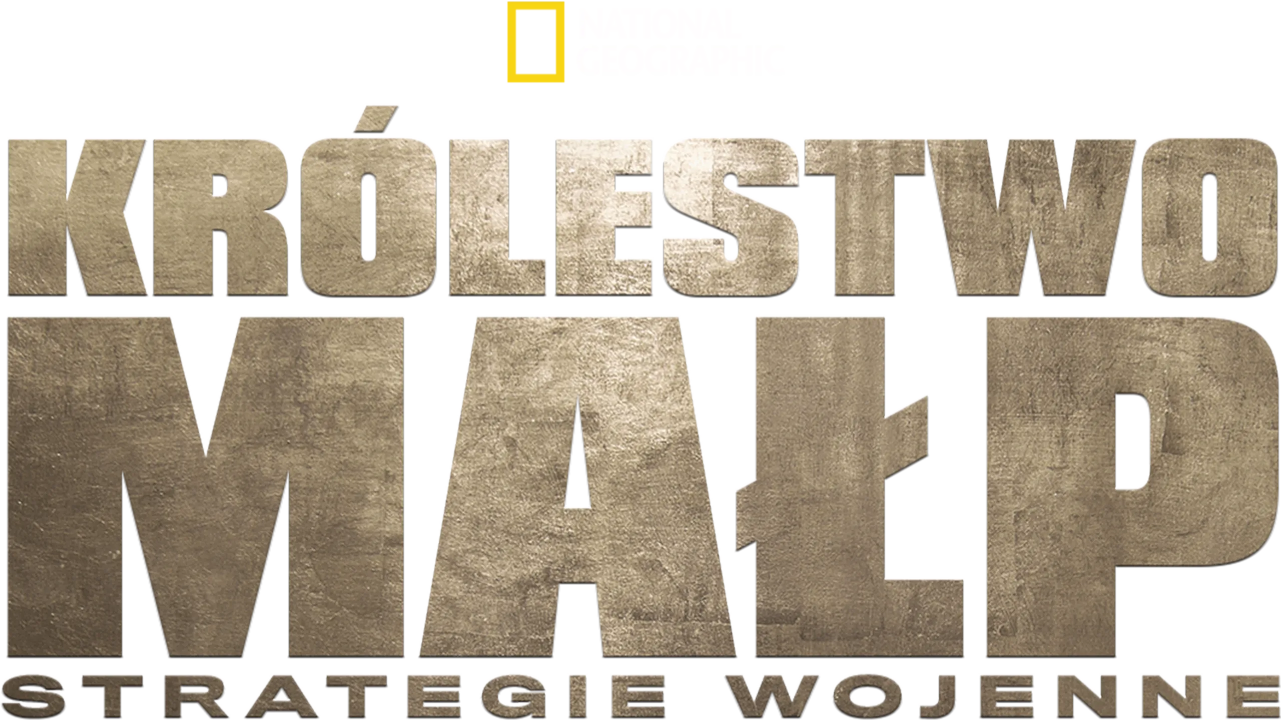 Królestwo małp: strategie wojenne