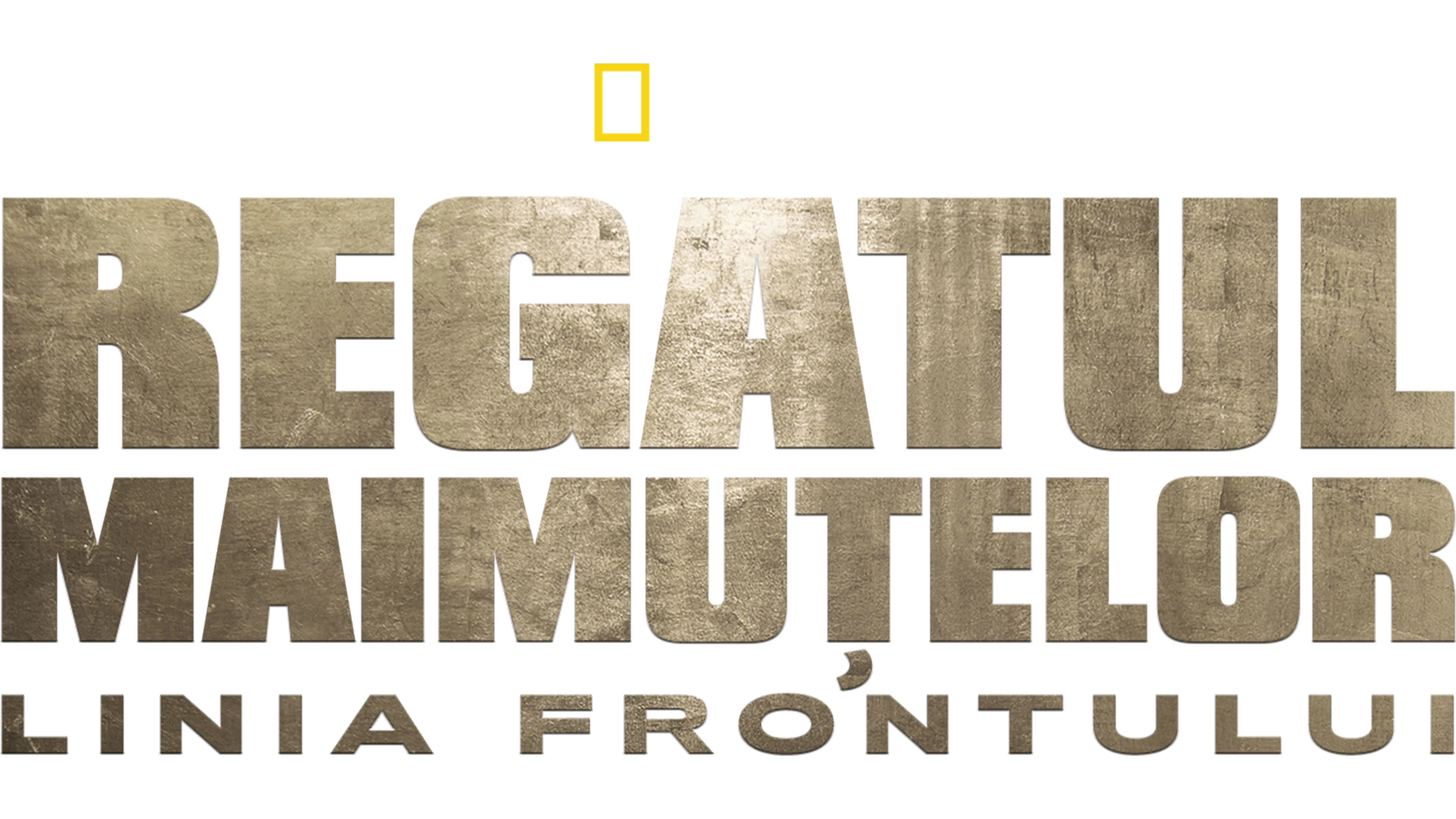 Regatul maimuțelor: Linia frontului