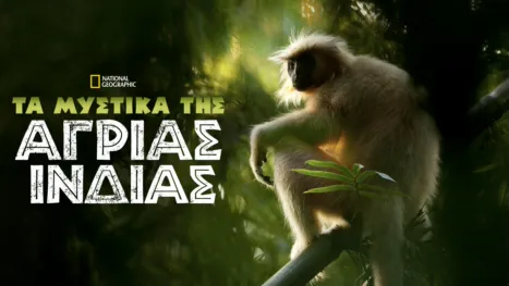 thumbnail - Τα Μυστικά της Άγριας Ινδίας