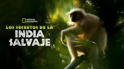 thumbnail - Los secretos de la India salvaje