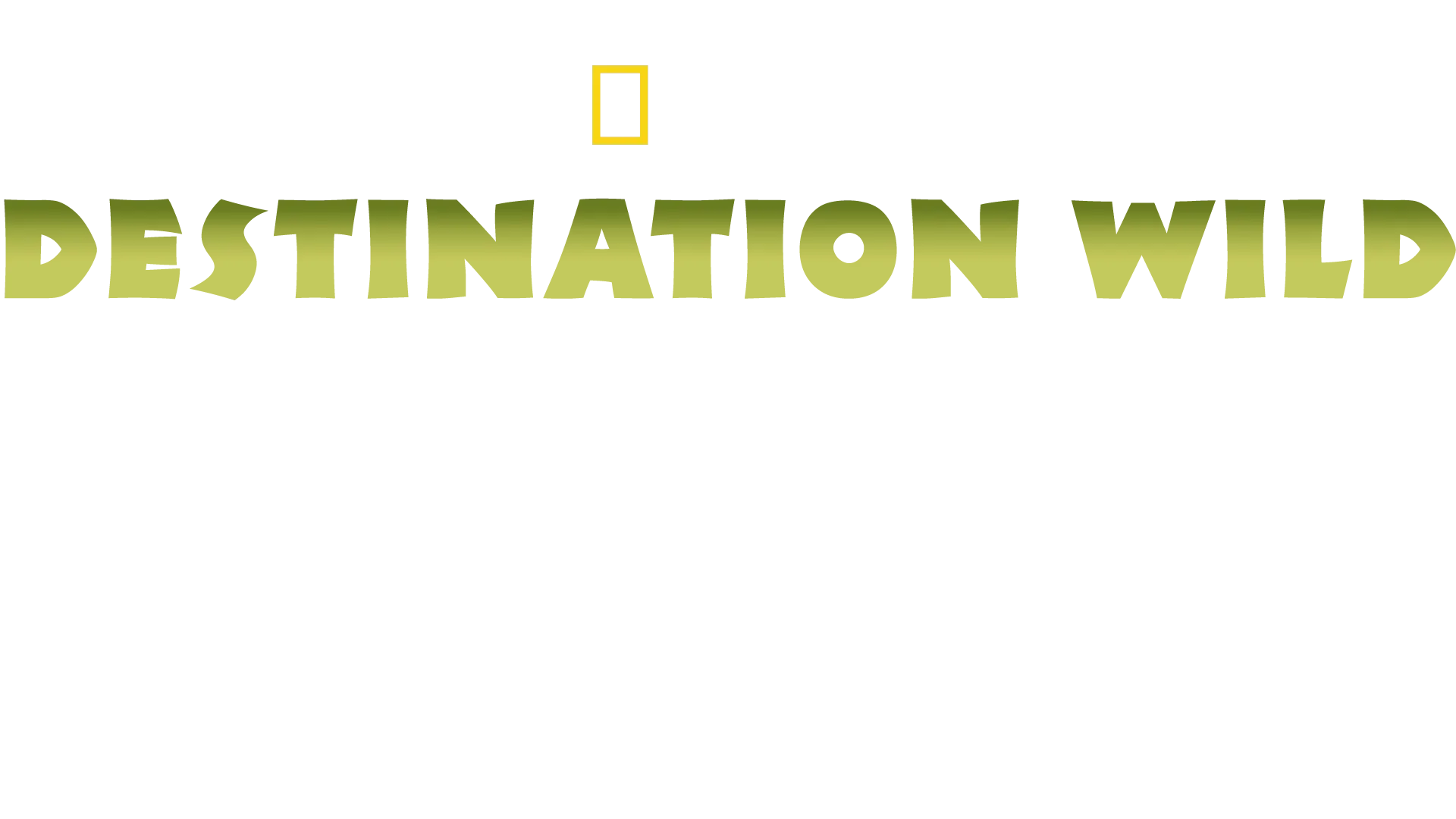 Destination Wild : Inde à l'état sauvage