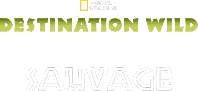 Destination Wild : Inde à l'état sauvage