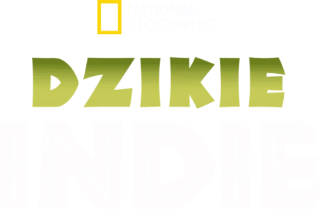 Dzikie Indie
