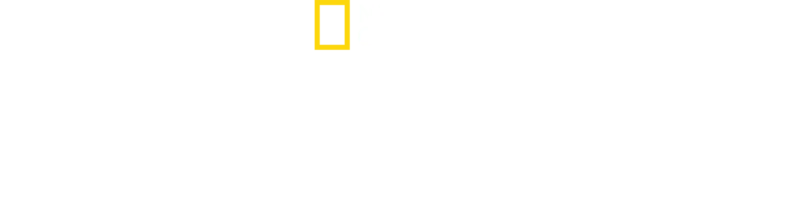 지하세계의 신비