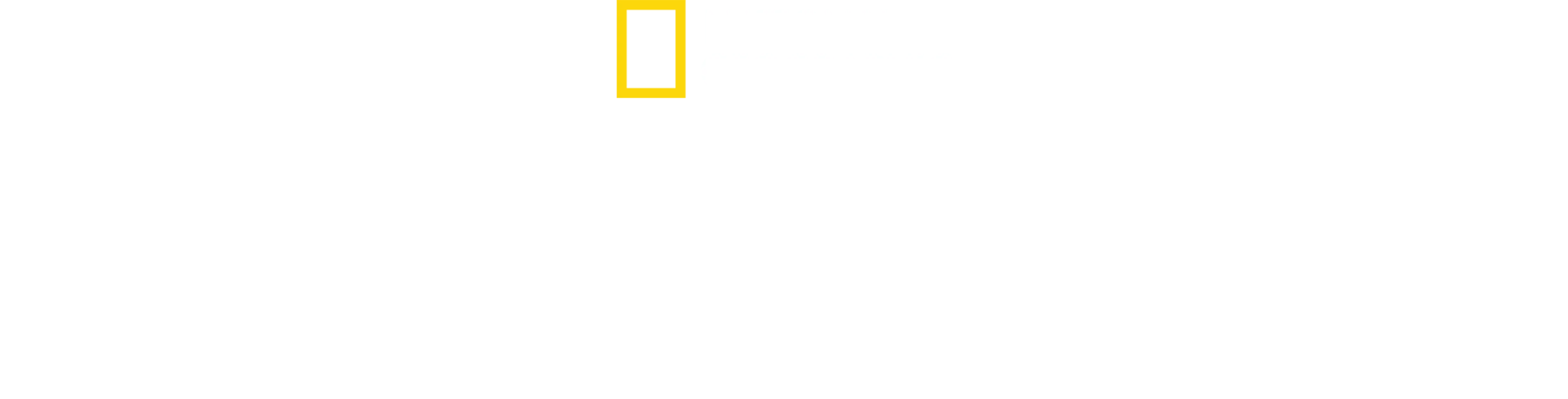 지하세계의 신비