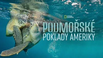 Podmořské poklady Ameriky