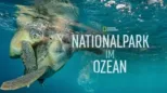thumbnail - Nationalpark im Ozean
