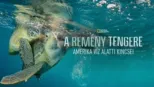 thumbnail - A remény tengere: Amerika víz alatti kincsei