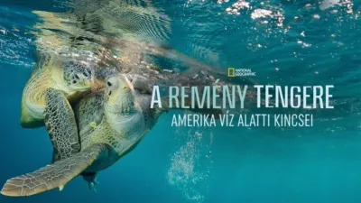 A remény tengere: Amerika víz alatti kincsei