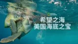 thumbnail - 希望之海：美国海底之宝
