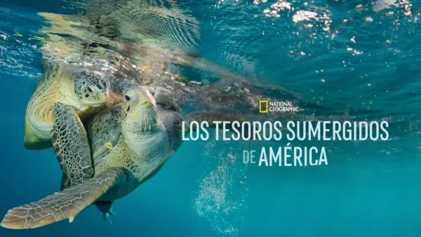 thumbnail - Los tesoros sumergidos de América
