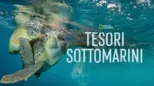 thumbnail - Tesori Sottomarini