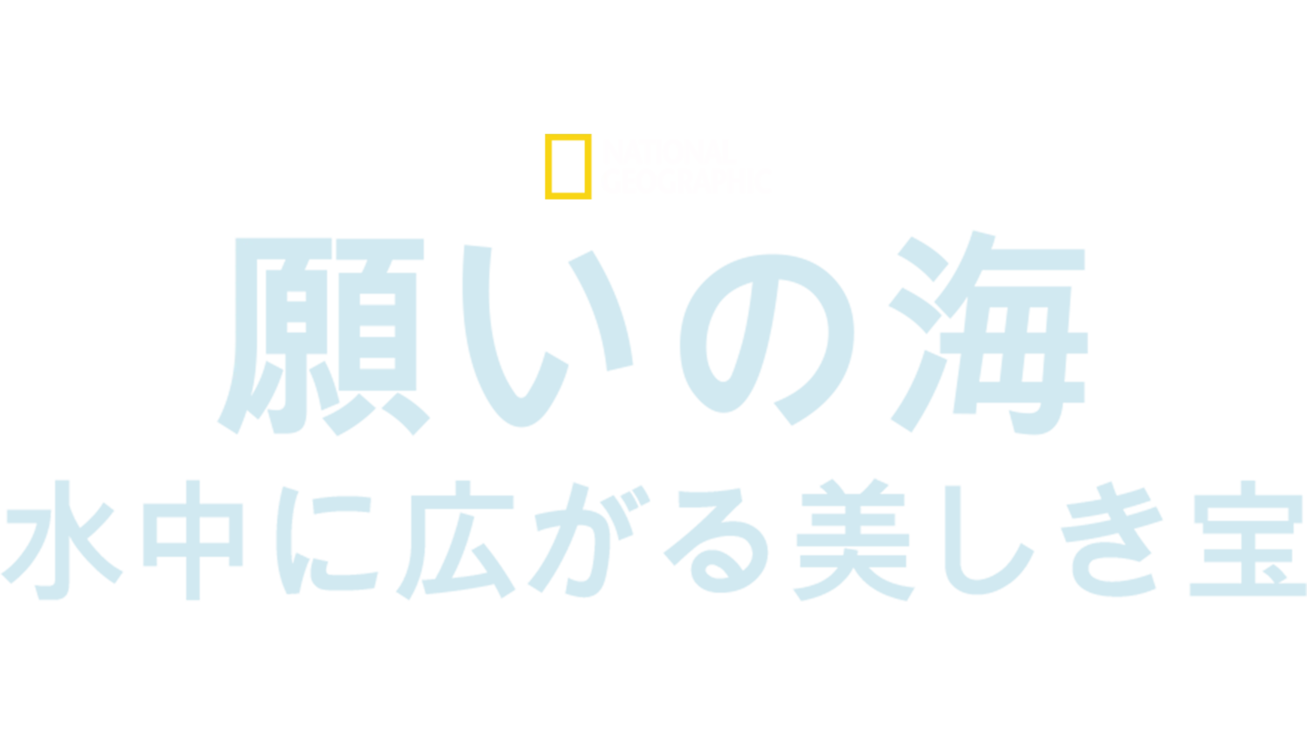 願いの海：水中に広がる美しき宝