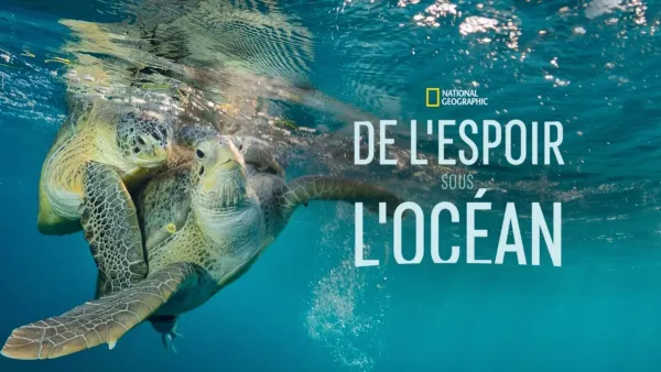 thumbnail - De l'espoir sous l'océan
