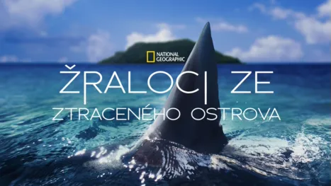 thumbnail - Žraloci ze ztraceného ostrova