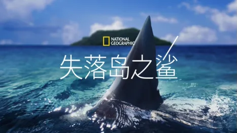 thumbnail - 失落岛之鲨