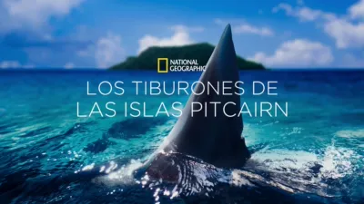 Los tiburones de las islas Pitcairn