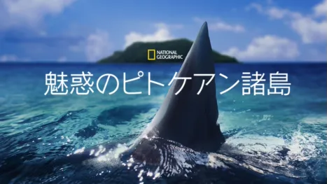 thumbnail - 魅惑のピトケアン諸島