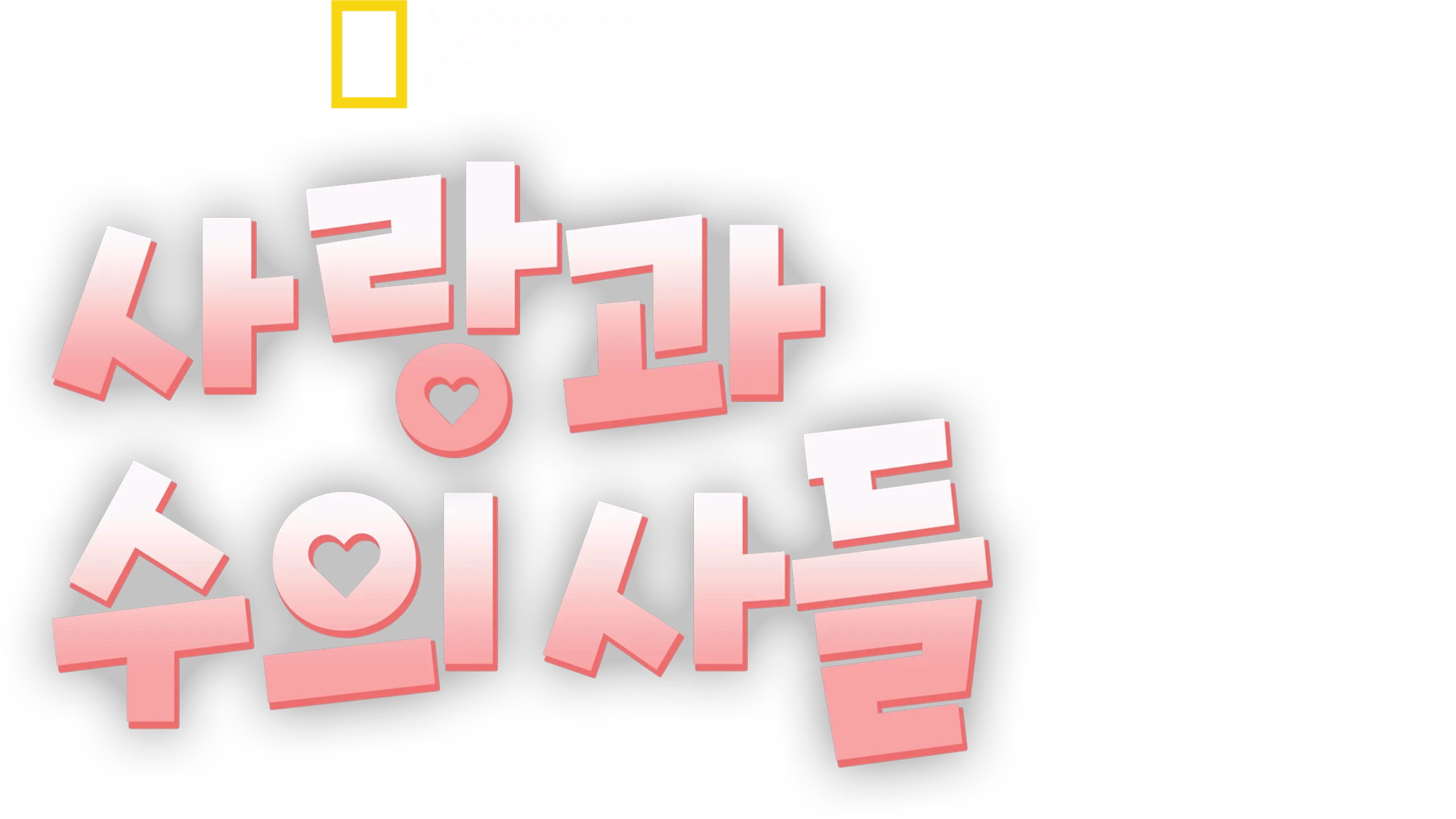 사랑과 수의사들