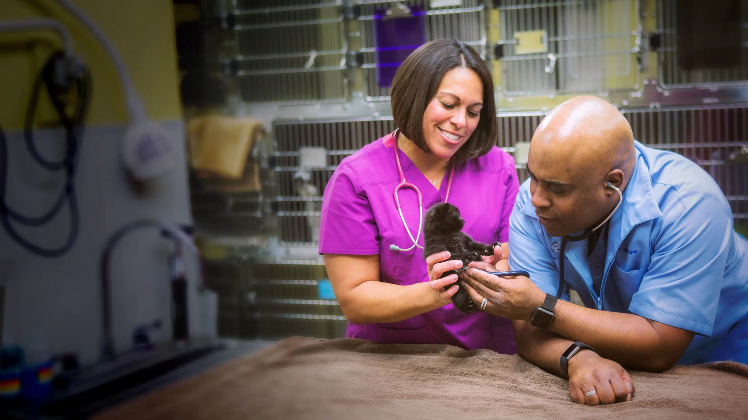 사랑과 수의사들