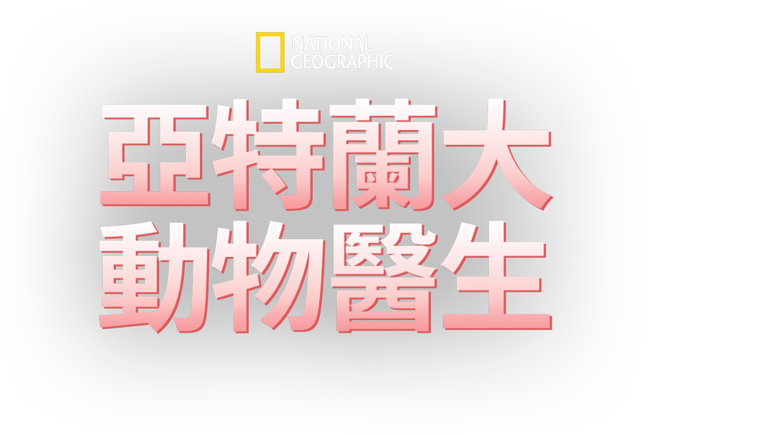 亞特蘭大動物醫生