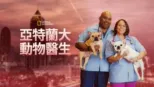 thumbnail - 亞特蘭大動物醫生