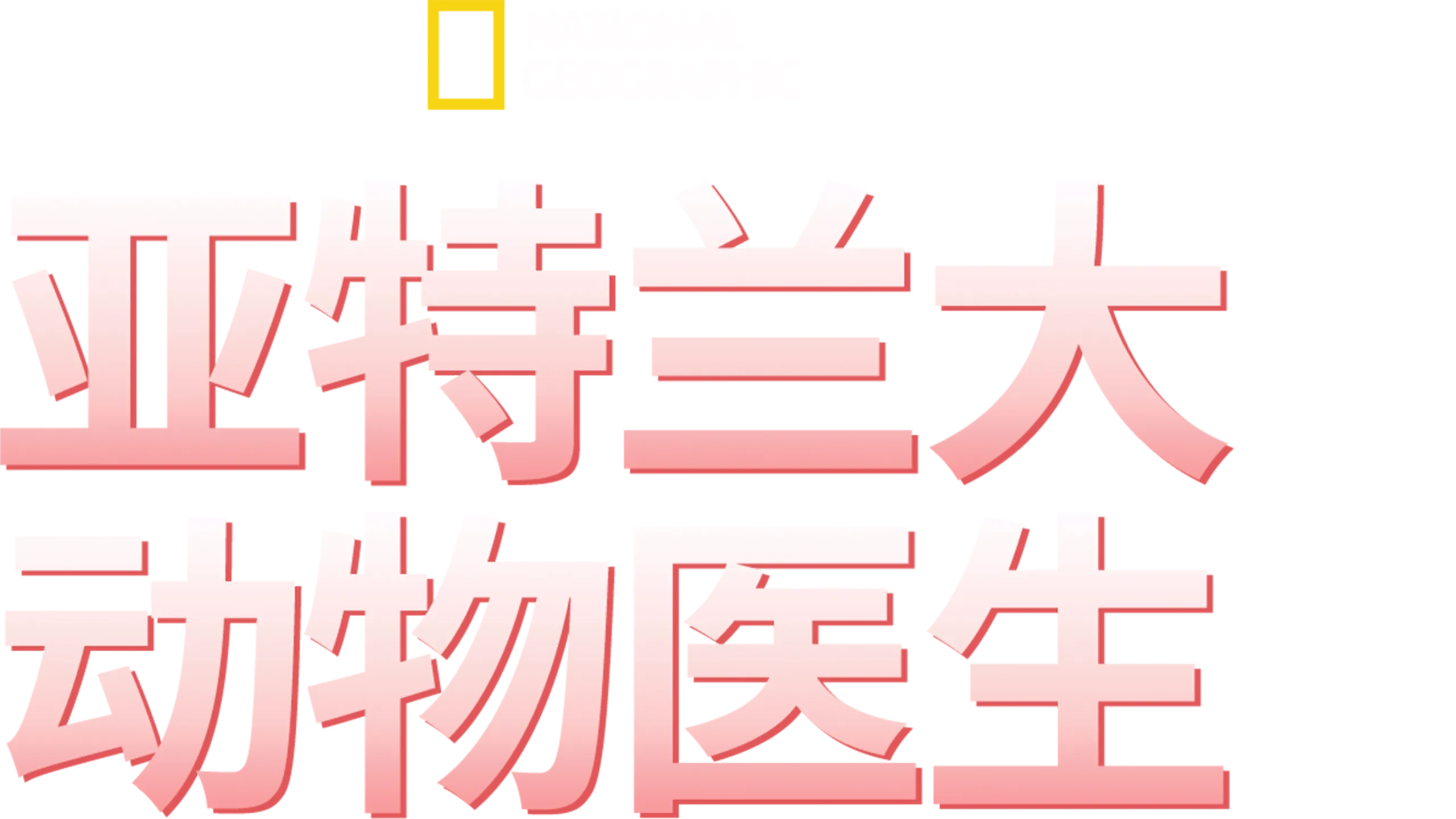 亚特兰大动物医生