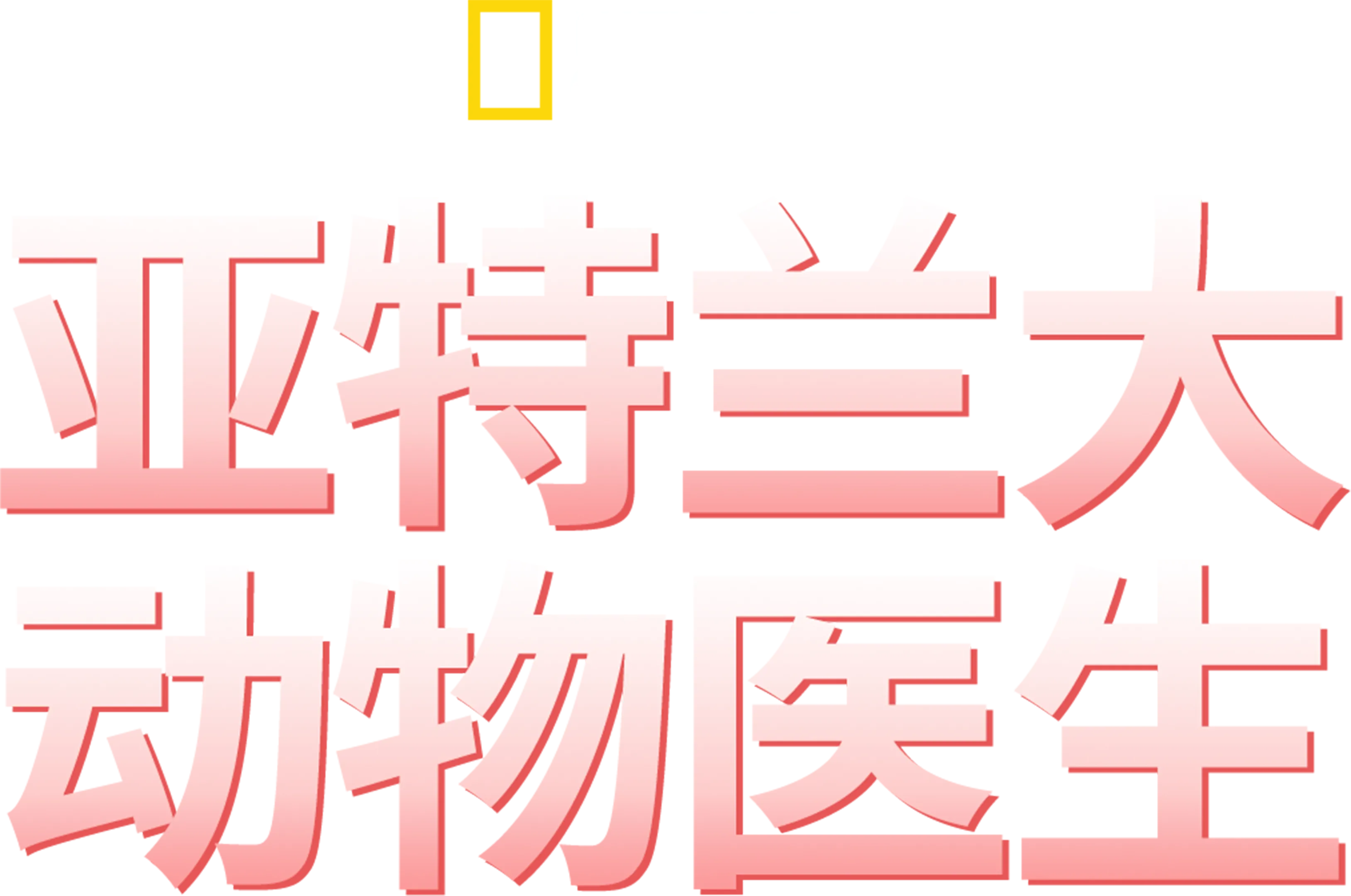 亚特兰大动物医生