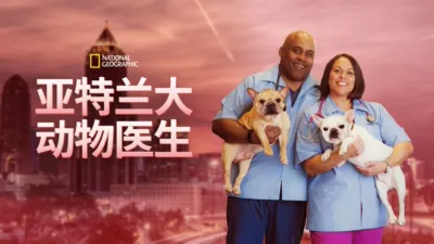 亚特兰大动物医生