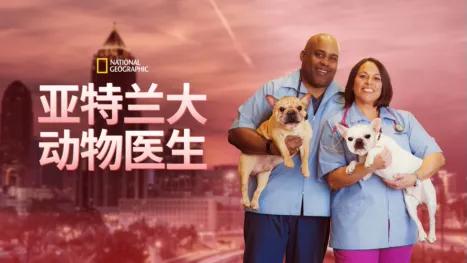 thumbnail - 亚特兰大动物医生