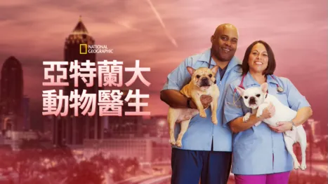 thumbnail - 亞特蘭大動物醫生