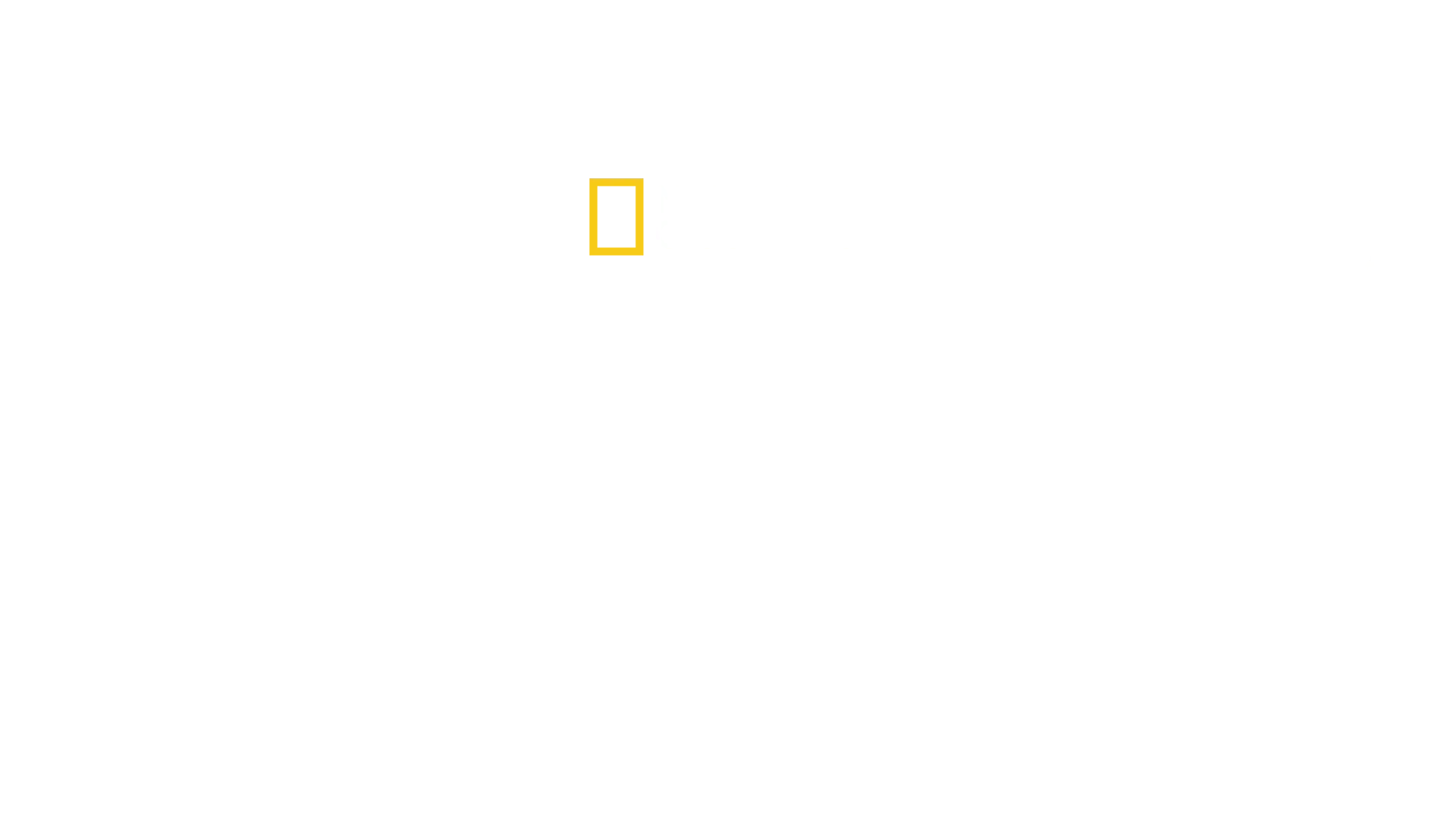 Mrknutí