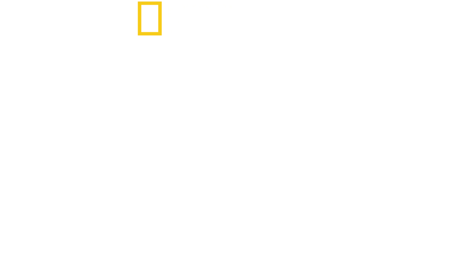 Blink - Jeder Augenblick zählt