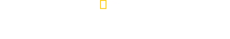 Εν Ριπή Οφθαλμού