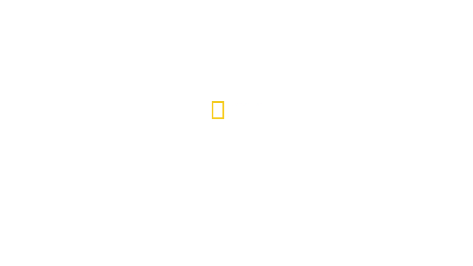 En un abrir y cerrar de ojos