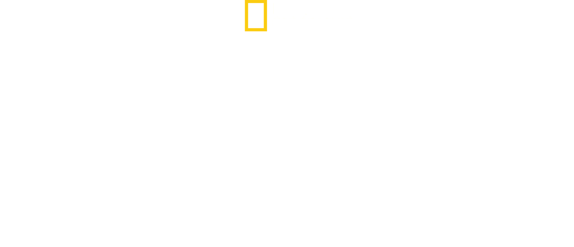 ブリンク～美しき世界の記憶を