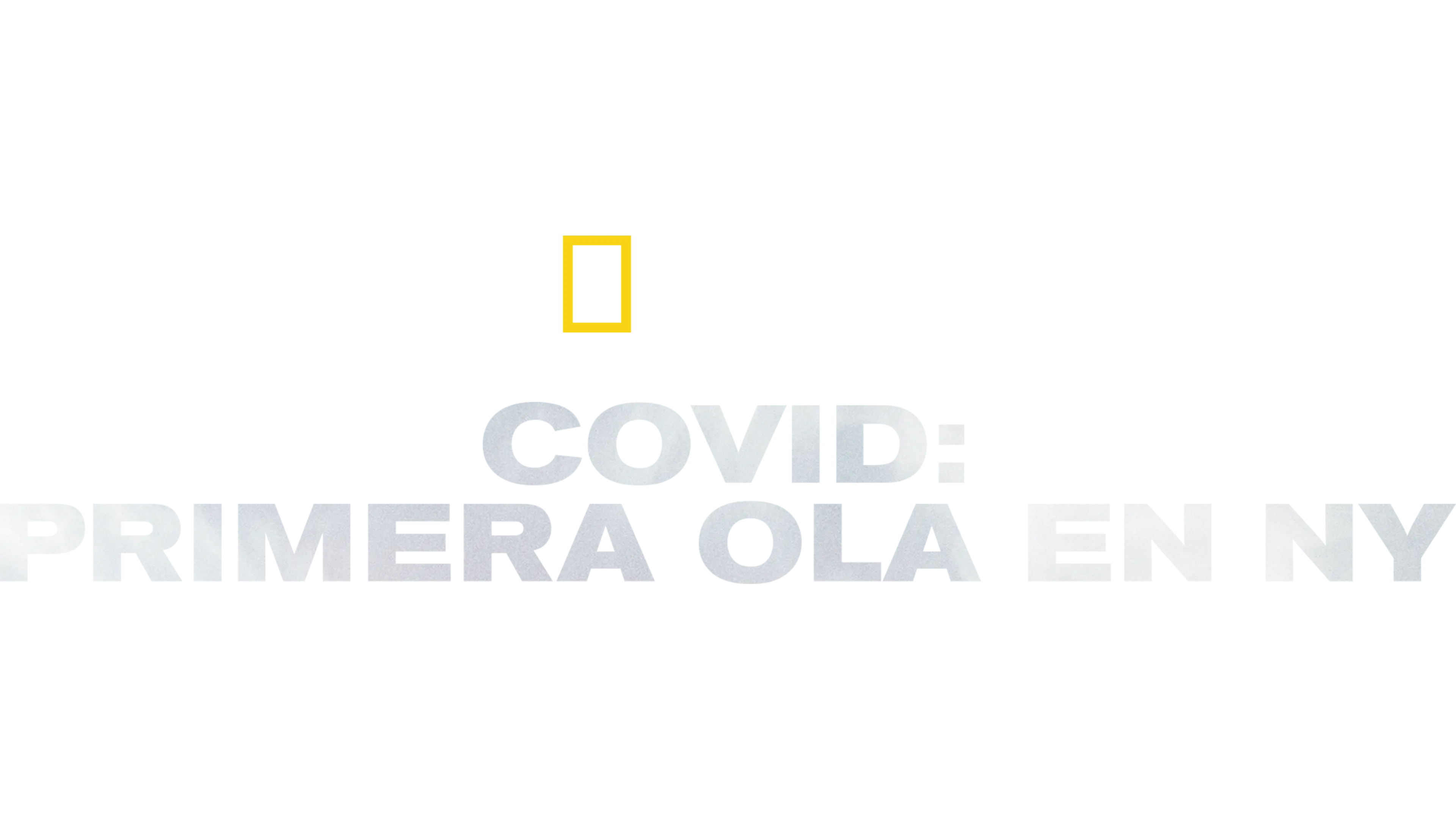 Covid: Primera ola en NY