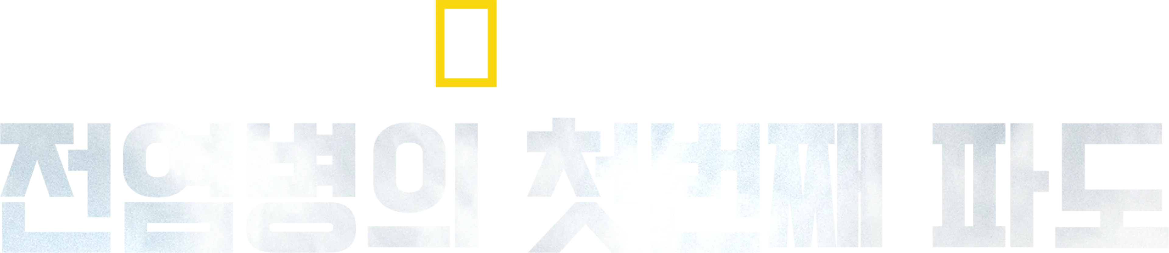 전염병의 첫번째 파도