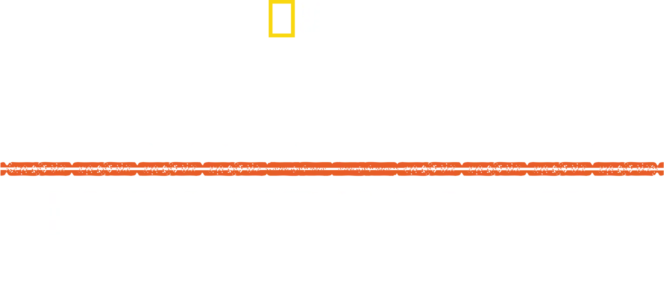 Apocalypse: Hitlerin isku itään