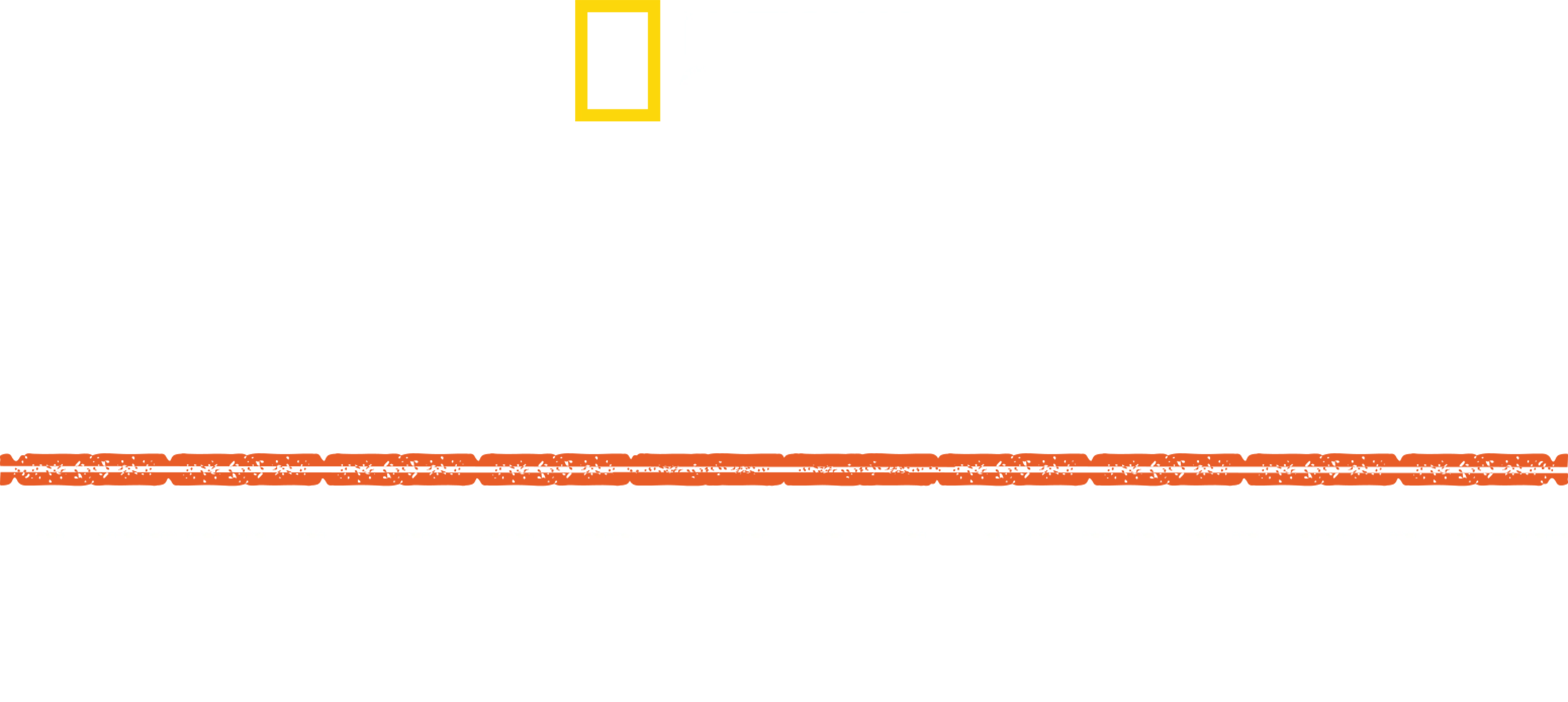 Hitler: attacco all’Unione Sovietica