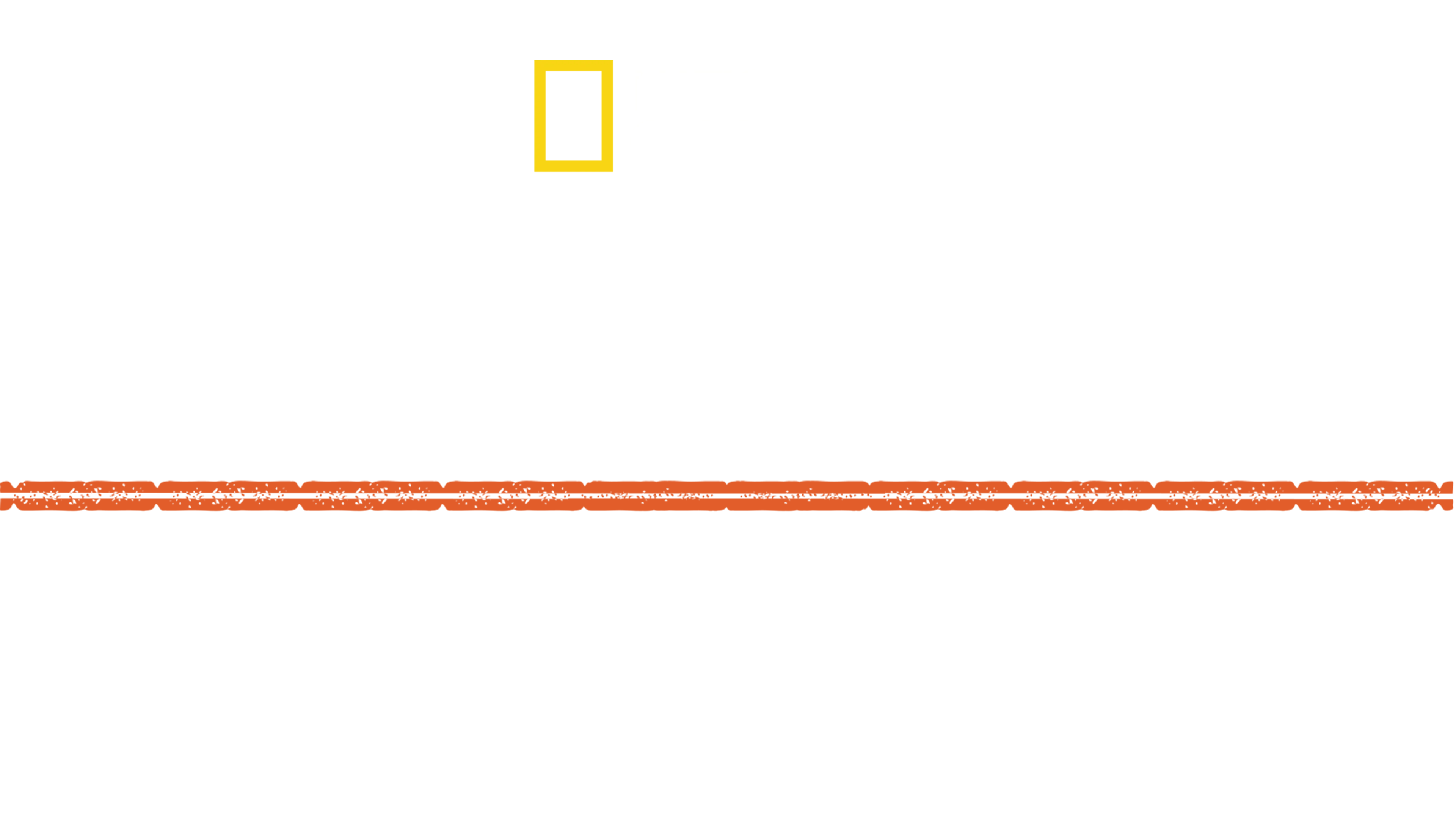 Apocalypse, Hitler attaque à l'Est