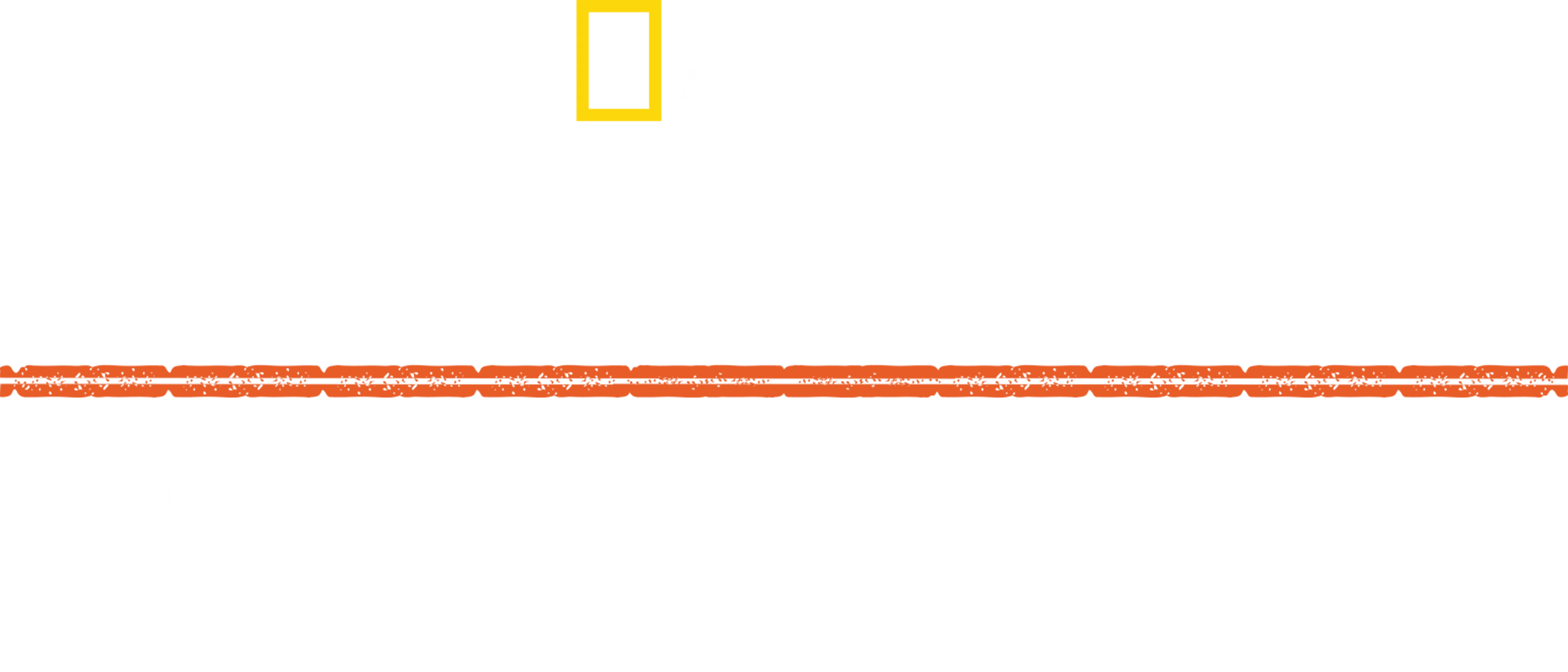 Hitler toma Oriente: Operación Barbarroja