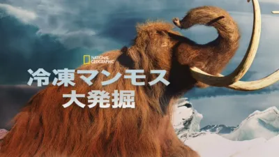 thumbnail - 冷凍マンモス大発掘