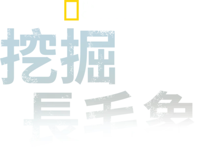挖掘長毛象