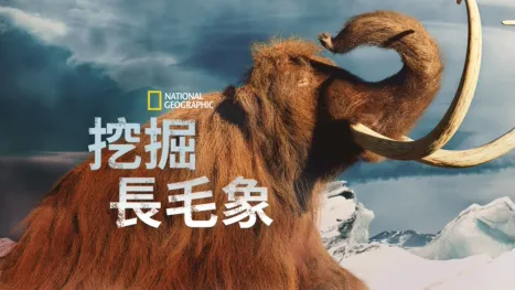 thumbnail - 挖掘長毛象