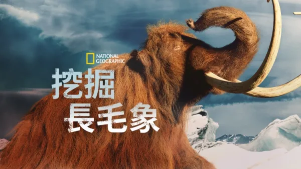 thumbnail - 挖掘長毛象